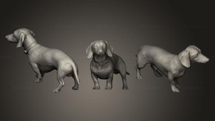 Статуэтки животных (Собака-такса 11, STKJ_0214) 3D модель для ЧПУ станка